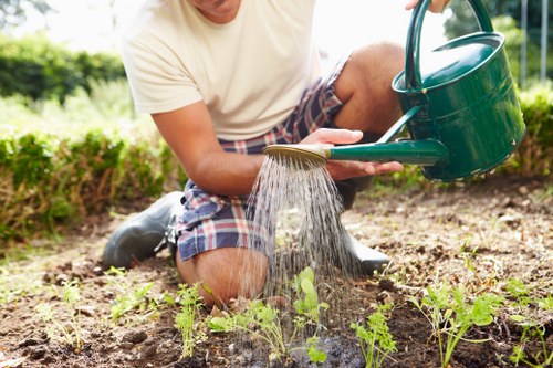 Supervised landscaping work in a public park setting