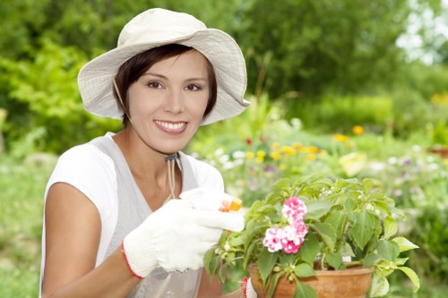 Lawn mowing and turf care being performed in an urban garden space