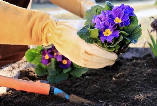 Image of a team meeting reviewing accessibility improvements for local gardening services.