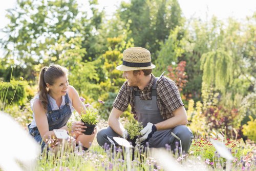 Preparing a garden for seasonal changes